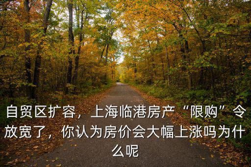 自貿(mào)區(qū)擴(kuò)容，上海臨港房產(chǎn)“限購”令放寬了，你認(rèn)為房價(jià)會大幅上漲嗎為什么呢