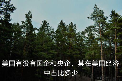美國(guó)有沒有國(guó)企和央企，其在美國(guó)經(jīng)濟(jì)中占比多少