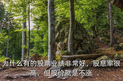 為什么有的股票業(yè)績非常好，股息率很高，但股價就是不漲