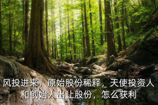 風(fēng)投進(jìn)來，原始股份稀釋，天使投資人和創(chuàng)始人出讓股份，怎么獲利