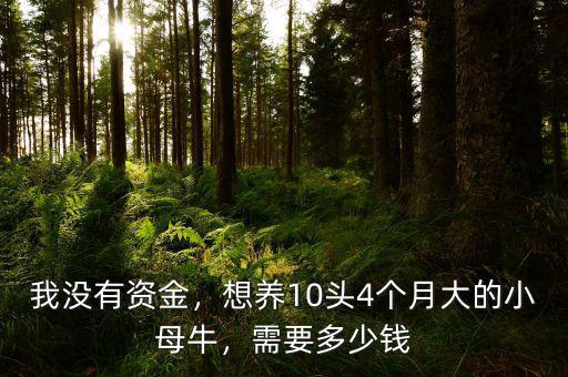 我沒有資金，想養(yǎng)10頭4個(gè)月大的小母牛，需要多少錢