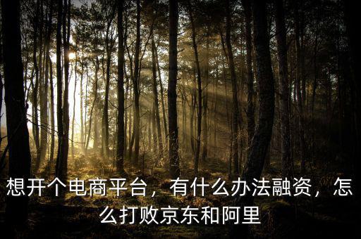 想開(kāi)個(gè)電商平臺(tái)，有什么辦法融資，怎么打敗京東和阿里