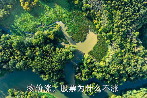 物價漲，股票為什么不漲