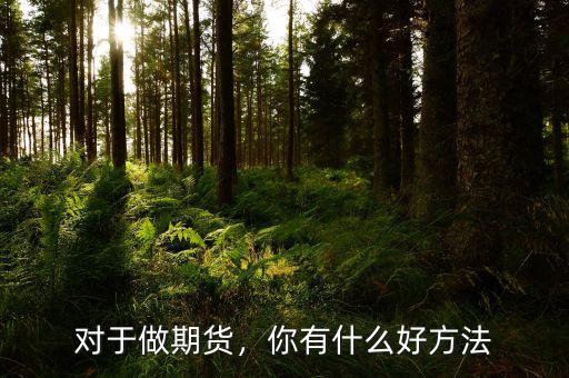 對于做期貨，你有什么好方法
