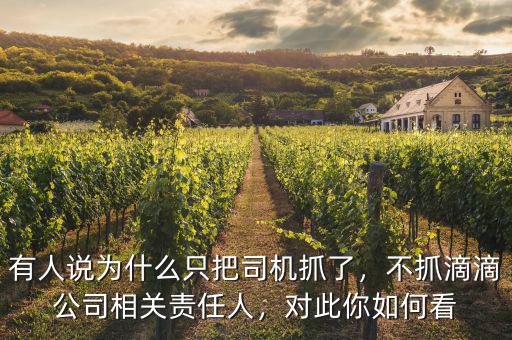 有人說為什么只把司機(jī)抓了，不抓滴滴公司相關(guān)責(zé)任人，對(duì)此你如何看