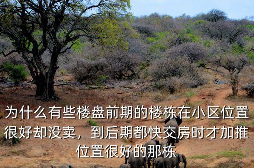 為什么有些樓盤前期的樓棟在小區(qū)位置很好卻沒(méi)賣，到后期都快交房時(shí)才加推位置很好的那棟