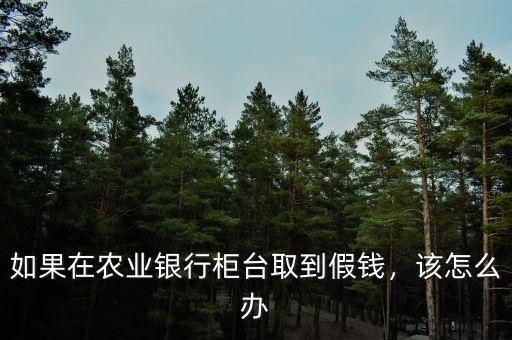 如果在農(nóng)業(yè)銀行柜臺(tái)取到假錢，該怎么辦