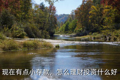 現(xiàn)在有點(diǎn)小存款，怎么理財(cái)投資什么好