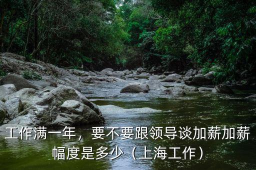 工作滿一年，要不要跟領(lǐng)導(dǎo)談加薪加薪幅度是多少（上海工作）