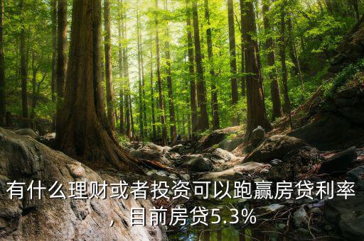 有什么理財或者投資可以跑贏房貸利率，目前房貸5.3%