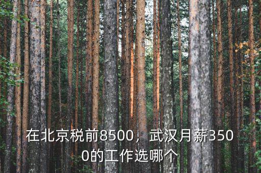 在北京稅前8500，武漢月薪3500的工作選哪個(gè)