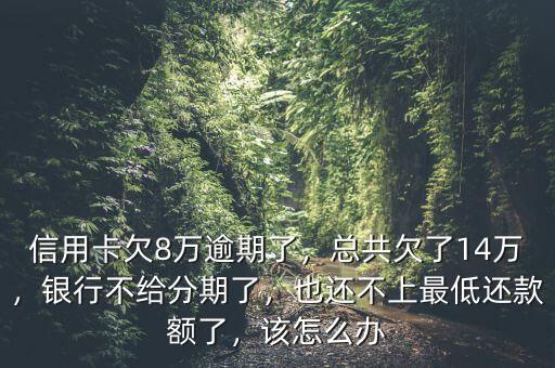 信用卡欠8萬逾期了，總共欠了14萬，銀行不給分期了，也還不上最低還款額了，該怎么辦