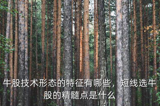 牛股技術(shù)形態(tài)的特征有哪些，短線選牛股的精髓點(diǎn)是什么