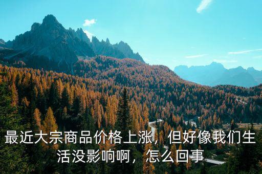 最近大宗商品價格上漲，但好像我們生活沒影響啊，怎么回事