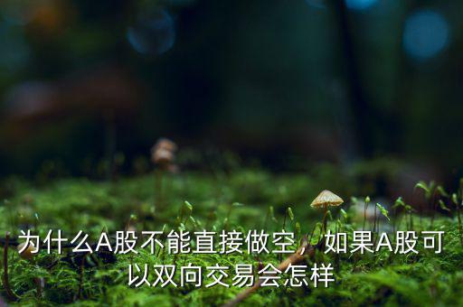 為什么A股不能直接做空，如果A股可以雙向交易會怎樣