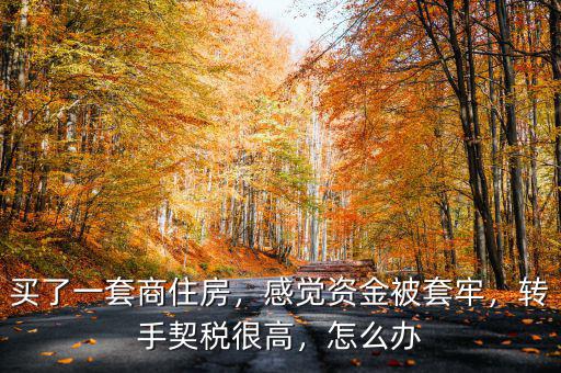 買了一套商住房，感覺(jué)資金被套牢，轉(zhuǎn)手契稅很高，怎么辦