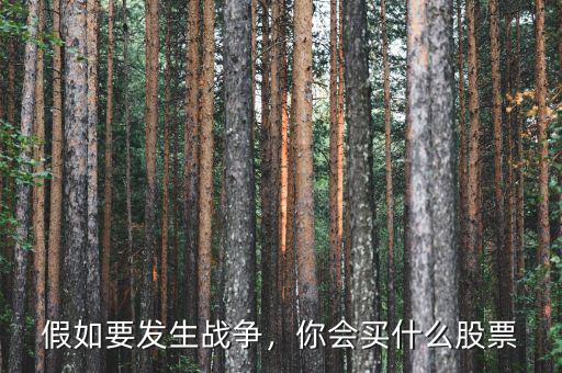 假如要發(fā)生戰(zhàn)爭(zhēng)，你會(huì)買什么股票