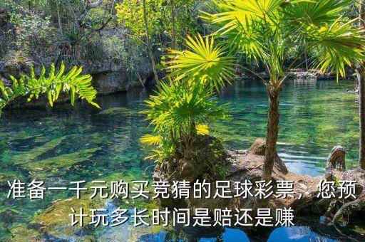 準(zhǔn)備一千元購(gòu)買(mǎi)競(jìng)猜的足球彩票，您預(yù)計(jì)玩多長(zhǎng)時(shí)間是賠還是賺