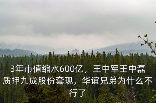 3年市值縮水600億，王中軍王中磊質(zhì)押九成股份套現(xiàn)，華誼兄弟為什么不行了