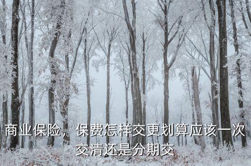 商業(yè)保險(xiǎn)，保費(fèi)怎樣交更劃算應(yīng)該一次交清還是分期交