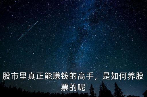 股市里真正能賺錢的高手，是如何養(yǎng)股票的呢