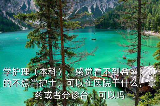 學(xué)護(hù)理（本科），感覺看不到希望，真的不想當(dāng)護(hù)士，可以在醫(yī)院干什么，拿藥或者分診臺，可以嗎
