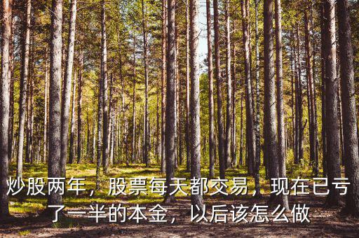 炒股兩年，股票每天都交易，現(xiàn)在已虧了一半的本金，以后該怎么做