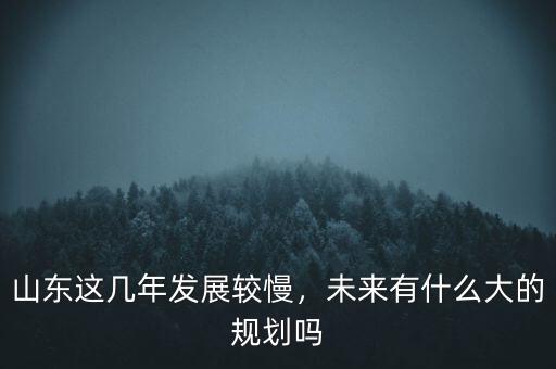 山東這幾年發(fā)展較慢，未來(lái)有什么大的規(guī)劃嗎