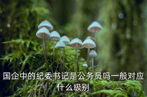 國企中的紀(jì)委書記是公務(wù)員嗎一般對(duì)應(yīng)什么級(jí)別