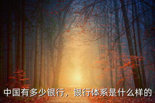 中國有多少銀行，銀行體系是什么樣的