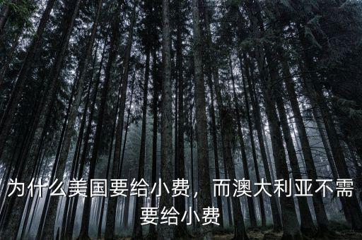為什么美國要給小費，而澳大利亞不需要給小費