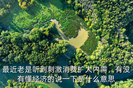 最近老是聽到刺激消費(fèi)擴(kuò)大內(nèi)需，有沒有懂經(jīng)濟(jì)的說一下是什么意思