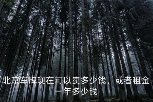 北京車牌現(xiàn)在可以賣多少錢，或者租金一年多少錢