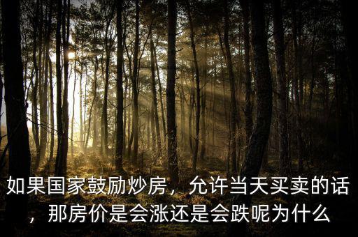 如果國(guó)家鼓勵(lì)炒房，允許當(dāng)天買賣的話，那房?jī)r(jià)是會(huì)漲還是會(huì)跌呢為什么