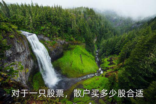 對(duì)于一只股票，散戶買(mǎi)多少股合適