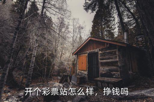 開個彩票站怎么樣，掙錢嗎