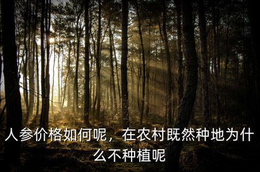 人參價格如何呢，在農(nóng)村既然種地為什么不種植呢