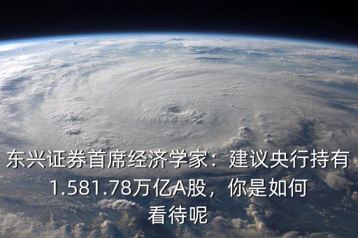 東興證券首席經(jīng)濟(jì)學(xué)家：建議央行持有1.581.78萬億A股，你是如何看待呢