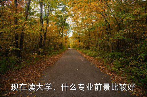 現(xiàn)在讀大學(xué)，什么專業(yè)前景比較好