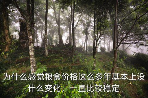 為什么感覺糧食價(jià)格這么多年基本上沒(méi)什么變化，一直比較穩(wěn)定