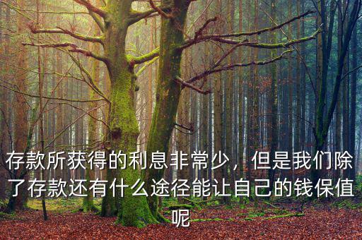 存款所獲得的利息非常少，但是我們除了存款還有什么途徑能讓自己的錢保值呢