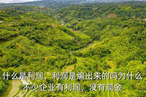 什么是利潤，利潤是編出來的嗎為什么不少企業(yè)有利潤，沒有現(xiàn)金