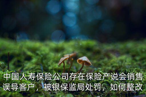 中國人壽保險公司存在保險產(chǎn)說會銷售誤導客戶，被銀保監(jiān)局處罰，如何整改