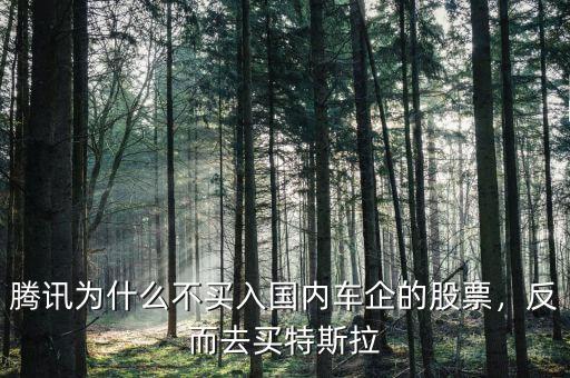 騰訊為什么不買入國(guó)內(nèi)車企的股票，反而去買特斯拉