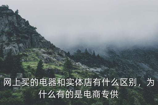 網(wǎng)上買的電器和實(shí)體店有什么區(qū)別，為什么有的是電商專供