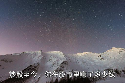 炒股至今，你在股市里賺了多少錢