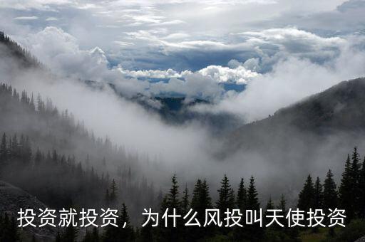 投資就投資，為什么風(fēng)投叫天使投資