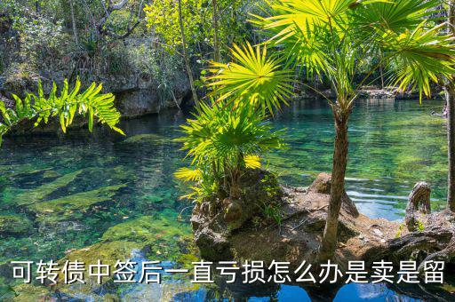 中簽后怎么辦,可轉債中簽后一直虧損怎么辦