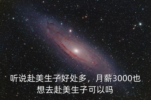 聽(tīng)說(shuō)赴美生子好處多，月薪3000也想去赴美生子可以嗎