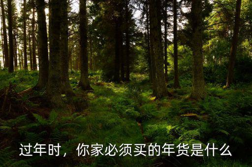 過(guò)年時(shí)，你家必須買(mǎi)的年貨是什么